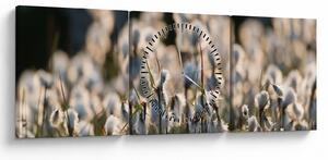 Obraz - Biely páperník (s hodinami) (90x30 cm)