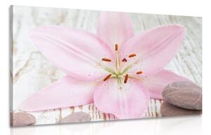 Obraz ružová ľalia a Zen kamene - 60x40