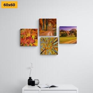 Set obrazov príroda v jesenných farbách - 4x 40x40