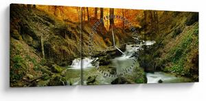 Obraz - Les (s hodinami) (90x30 cm)