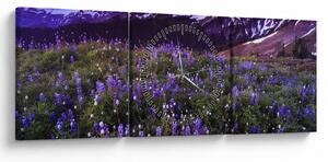Obraz - Sopka a kvety (s hodinami) (90x30 cm)