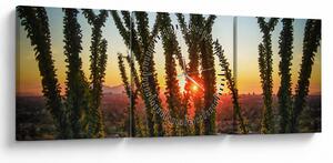 Obraz - Rastliny (s hodinami) (90x30 cm)