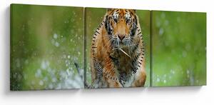 Obraz - Bežiaci tiger (s hodinami) (90x30 cm)