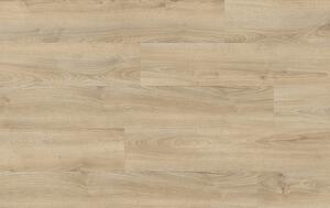 XpertPRO Electo Dub Kentucky 83226Q