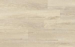 XpertPRO Electo Dub Stellata 89241Q