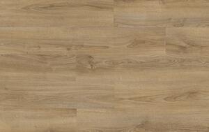 XpertPRO Electo Dub Kentucky 83847Q
