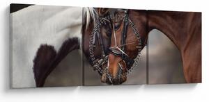 Obraz - Zamilované kone (s hodinami) (90x30 cm)