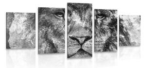5-dielny obraz tvár leva v čiernobielom prevedení - 100x50