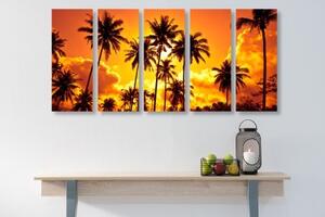 5-dielny obraz kokosové palmy na pláži - 100x50