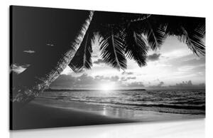 Obraz východ slnka na karibskej pláži v čiernobielom prevedení - 120x80