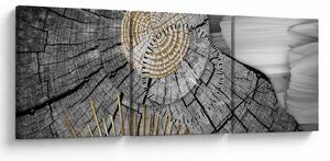 Obraz - Kmeň stromu v koláži (s hodinami) (90x30 cm)