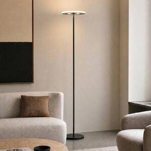Lucande LED stojacia lampa Raymond, čierna, stmievateľná, Čierna, Obývacia izba / jedáleň, kov, Moderný, Zemné bodové svetlo