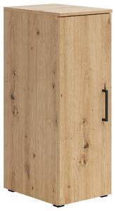 VIACÚČELOVÁ SKRIŇA, 30/83/40 cm Carryhome - Predsieňové programy