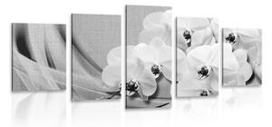 5-dielny obraz orchidea na plátne v čiernobielom prevedení - 200x100
