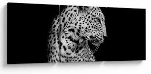 Obraz - Leopard (s hodinami) (90x30 cm)