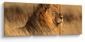 Obraz - Národný park Etosha (s hodinami) (90x30 cm)