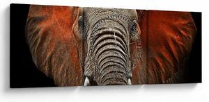 Obraz - Slony z Tsavo (s hodinami) (90x30 cm)