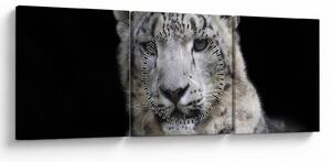 Obraz - Leopard snežný (s hodinami) (90x30 cm)