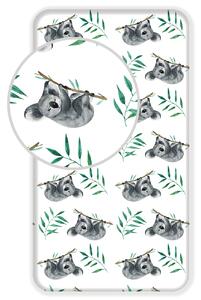Jerry Fabrics Bavlněné napínací prostěradlo 90x200 + 25cm - Koala