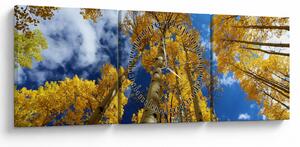 Obraz - Aspen (s hodinami) (90x30 cm)