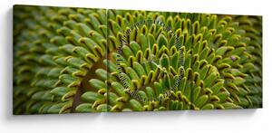 Obraz - Papraď (s hodinami) (90x30 cm)