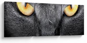 Obraz - Blízky portrét mačky (s hodinami) (90x30 cm)