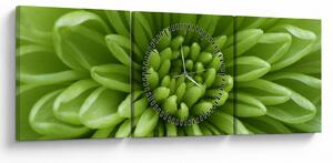 Obraz - Makro snímka rastliny (s hodinami) (90x30 cm)