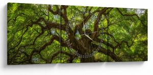 Obraz - Zelený strom (s hodinami) (90x30 cm)