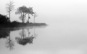 Plátno maľba By the Lake I