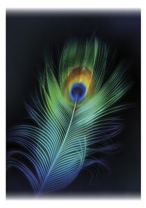 Plátno maľba Peacock Eye