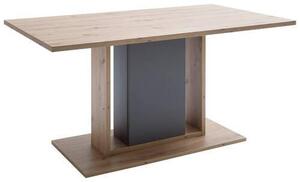JEDÁLENSKÝ STÔL, sivá, farba duba, 160/77/90 cm XXXL - Jedálenské programy, Online Only