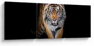 Obraz - Tiger (s hodinami) (90x30 cm)