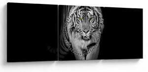 Obraz - Tiger so žltými očami (s hodinami) (90x30 cm)