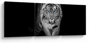 Obraz - Tiger s modrými očami (s hodinami) (90x30 cm)