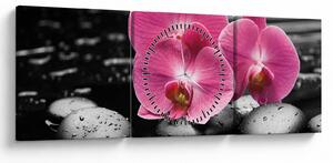 Obraz - Ružové orchidey (s hodinami) (90x30 cm)