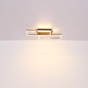 Stropné svietidlo Colli LED, šírka 52 cm, tmavé drevo, drevo