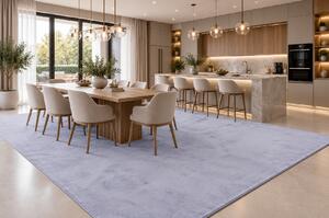 Koberec Plush SILVER rozmery koberec: 60x100 cm