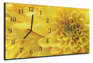 Nástenné hodiny kvet 30x60cm XI - plexi