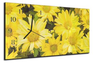 Nástenné hodiny kvet 30x60cm XV - plexi
