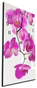 Nástenné hodiny orchidea 30x60cm VI - plexi