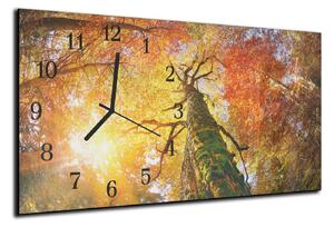 Nástenné hodiny 30x60cm - koruna stromu jeseň - plexi