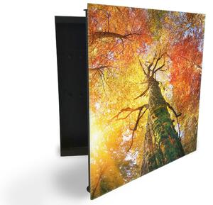 Glasdekor skrinka na kľúče - koruna stromu jeseň - Ľavé / Čierna