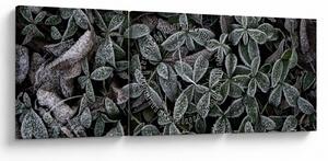 Obraz - Zamrznuté rastliny (s hodinami) (90x30 cm)