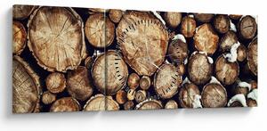 Obraz - Drevo v snehu (s hodinami) (90x30 cm)