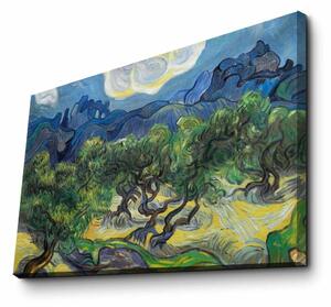 Wallity Obraz LORAYNE 45x70 cm zelený/modrý