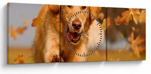 Obraz - Zlatý retriever (s hodinami) (90x30 cm)