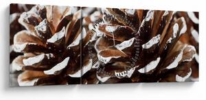Obraz - Šišky (s hodinami) (90x30 cm)