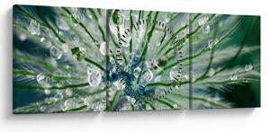 Obraz - Makro snímka kvetu (s hodinami) (90x30 cm)