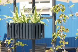 Samozavlažovací plastový balkónový kvetináč DDEF600W 58 cm - biela