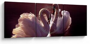 Obraz - Labute na jazere (s hodinami) (90x30 cm)